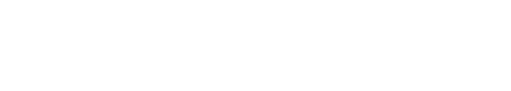 zw logo